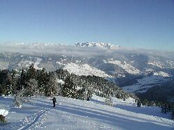 Blick in Richtung Hochknig.
