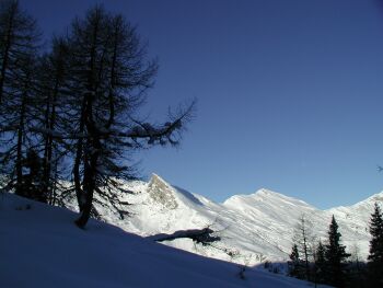 Blick zum Tristenwandkopf. Wir genieen die Stille des Wolfbachtales.