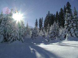 Die Sonne wrmt an diesem kalten Wintertag.